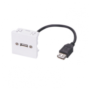 45X45 Faceplate with USB2.0 Tailed Cable AF/AF