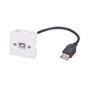 45X45 Faceplate with USB2.0 Tailed Cable BF/AF